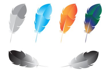 Feather clipart