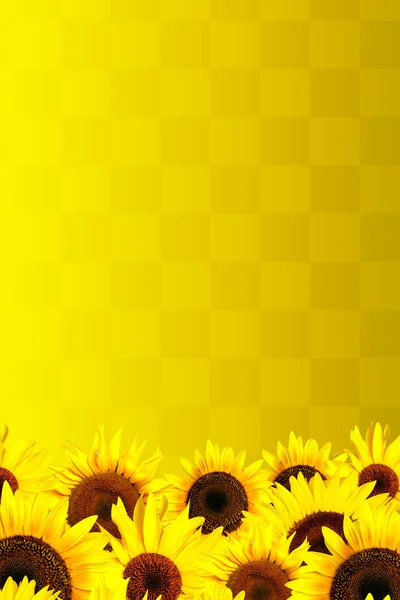 Amarelo girassóis pétalas fundo — Fotografia de Stock