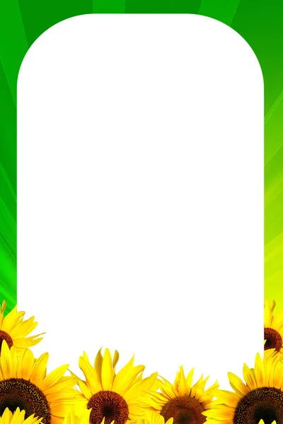 Frame with yellow sunflower