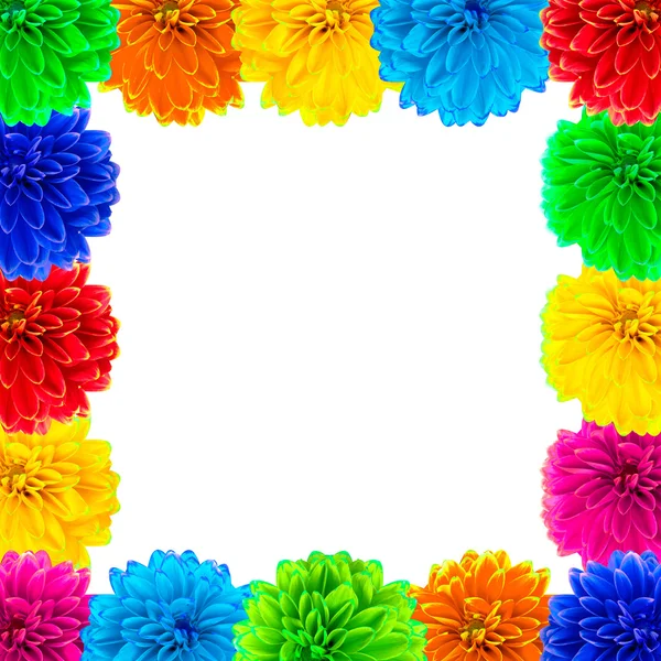 Frame of colorful dahlia flowers — Stock Photo, Image