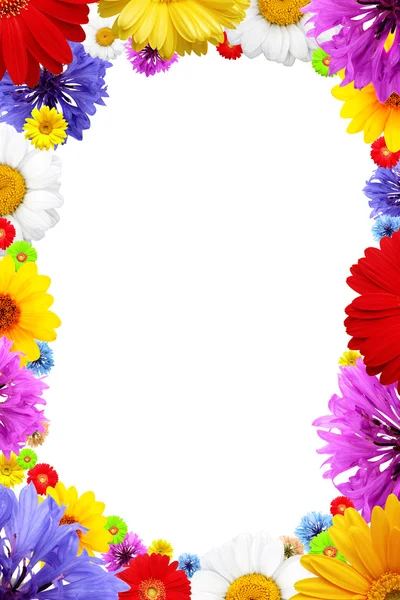 Frame of colorful summer flowers — Stock Photo, Image