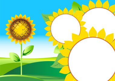 Vector illustration of sunflower clipart