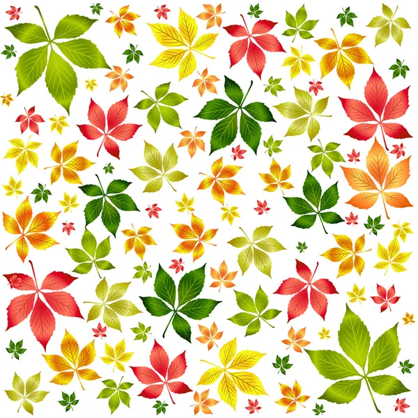 Colorful autumn leafs. — Stock Vector