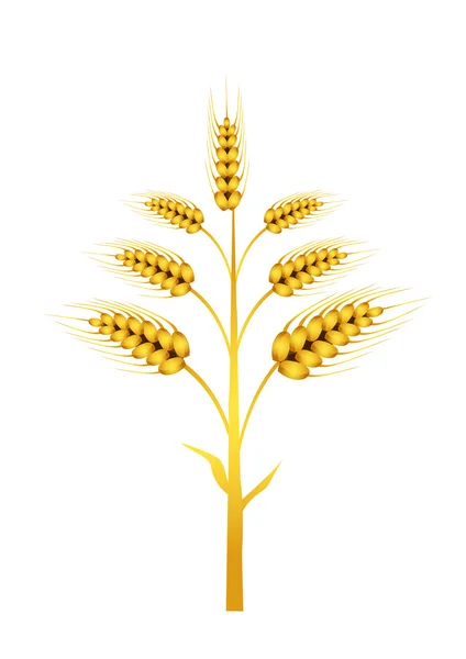 Wektor pszenicy — Wektor stockowy