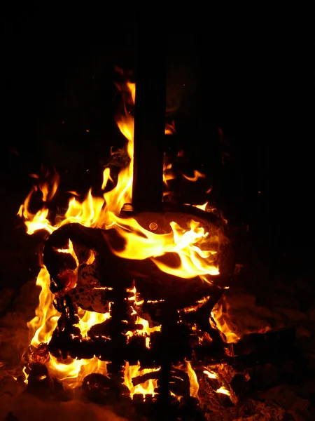 Trä burns i brand — Stockfoto