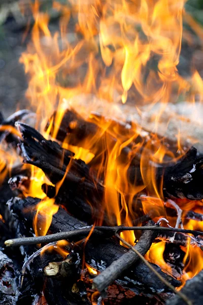 stock image Wood burns on fire