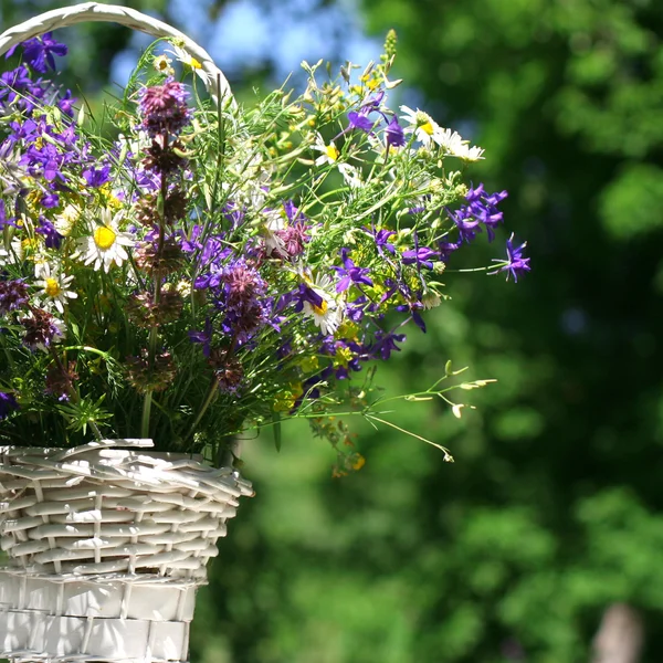 stock image Bouquet of meadow flowers in a basket