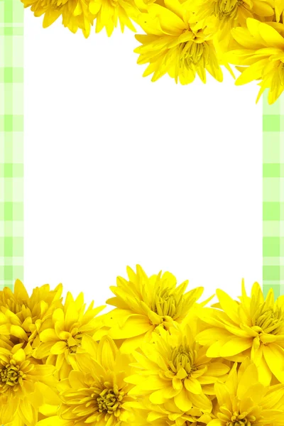 Rahmen mit gelben Blüten — Stockfoto
