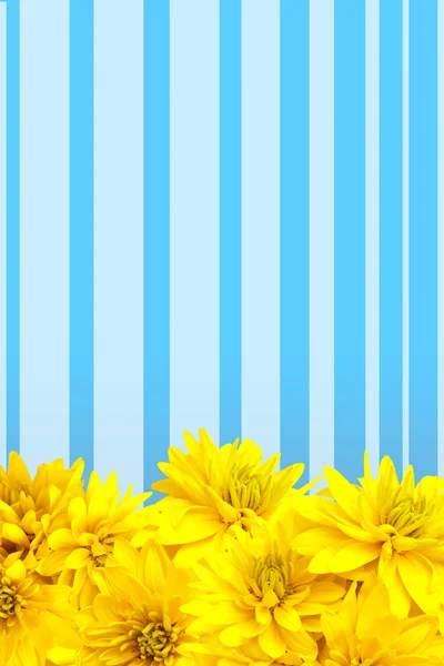 Yellow flowers petals background — Stock Photo, Image