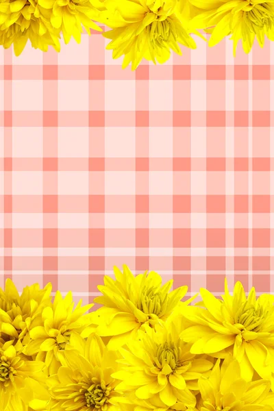 Flores amarelas pétalas fundo — Fotografia de Stock