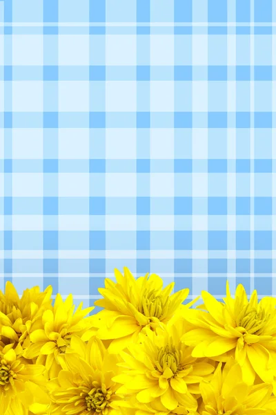 黄色の花の花びらの背景 — ストック写真