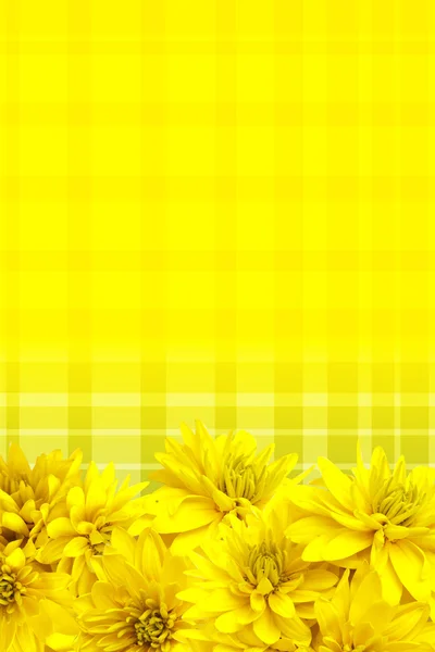 노란 꽃 꽃잎 배경 — 스톡 사진