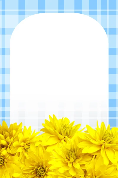 Gula blommor kronblad bakgrund — Stockfoto