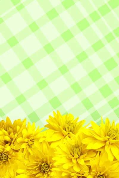 Fiori gialli petali sfondo — Foto Stock