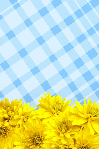 Flores amarillas pétalos fondo — Foto de Stock