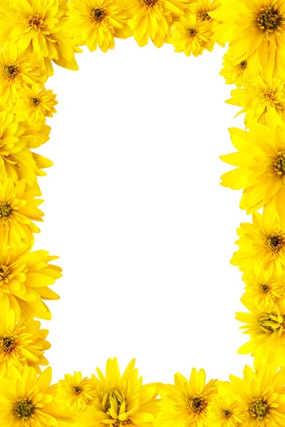 Рамка с желтыми цветами — стоковое фото