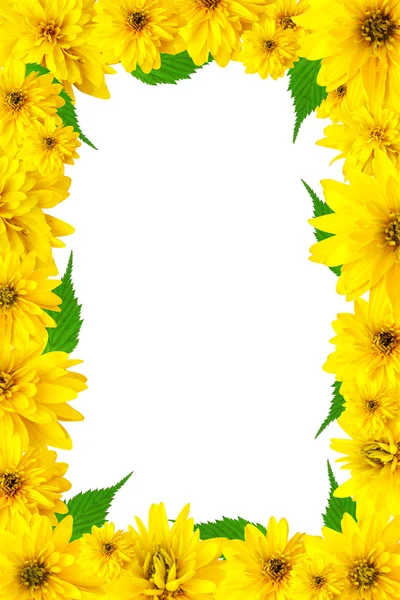 노란 꽃으로 장식함 — 스톡 사진