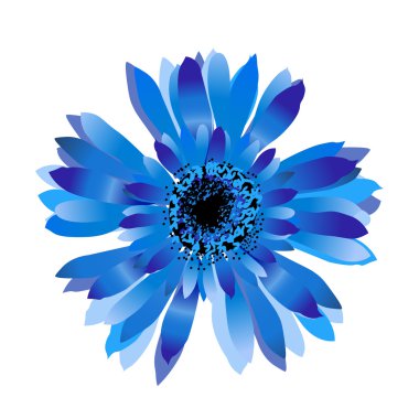 Blue cornflower.Spring flower clipart