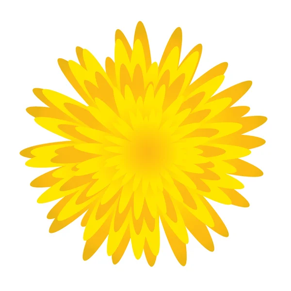 Dandelion.Spring flower — Stock Photo, Image