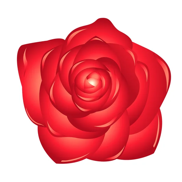 Red rose.Spring flower — Stock Photo, Image