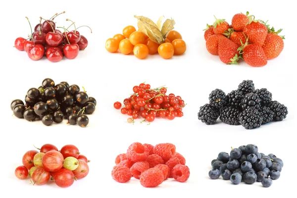 Summer berries collection — Stock Photo, Image