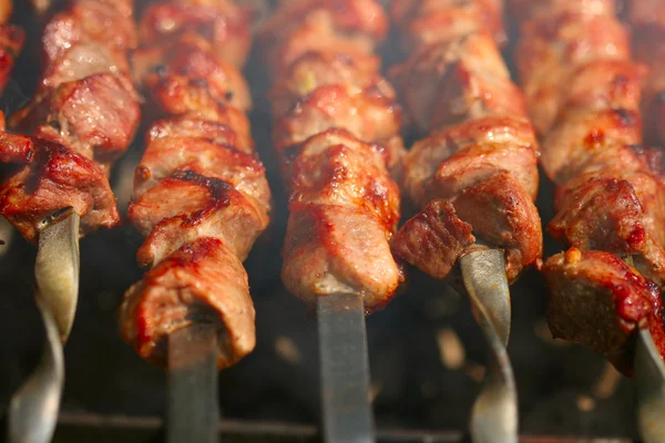 stock image Kebab on the grill with smoke