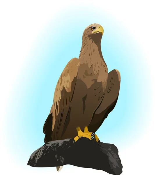 Águila en la roca — Vector de stock