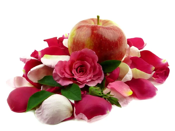 Jabłka na liście róż — Zdjęcie stockowe