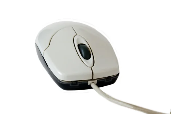 stock image Mouse