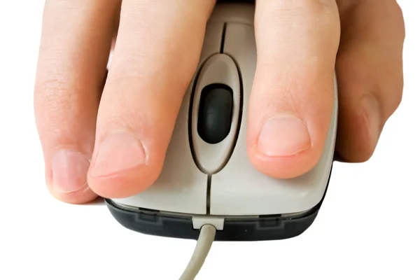 Mouse — Stock Photo, Image