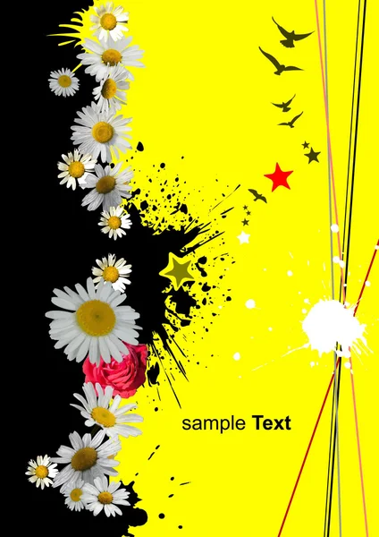 Svart och gul bakgrund med camomil — Stock vektor