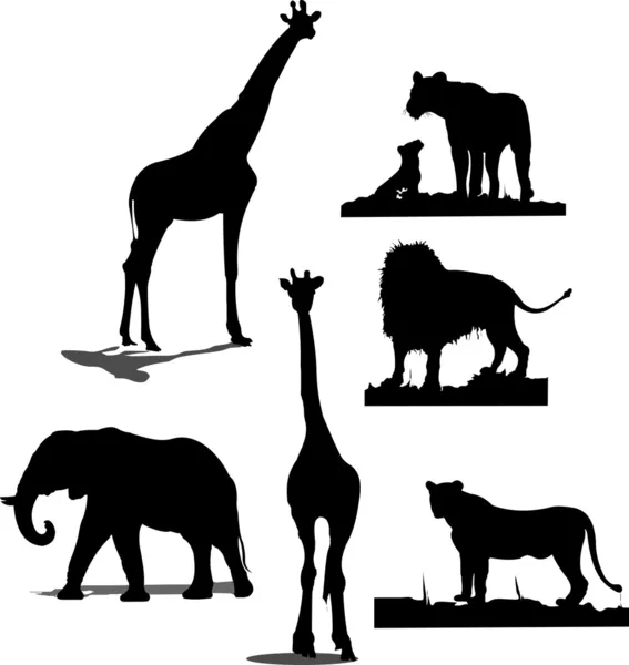 Силуэты африканских животных. Черный и белый — стоковый вектор