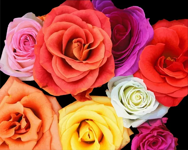 Куча роз. Векторная иллюстрация — стоковый вектор
