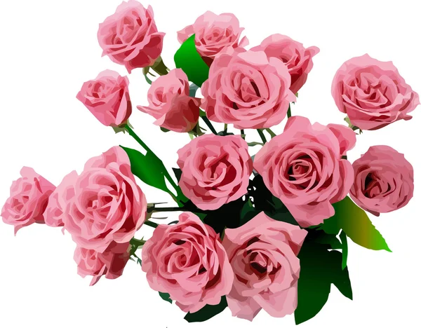 Un paquet de roses. Illustration vectorielle — Image vectorielle