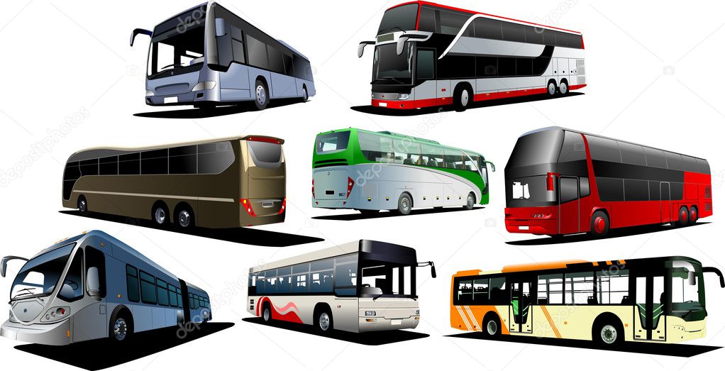 Eight kinds of buses. Vector illustrati