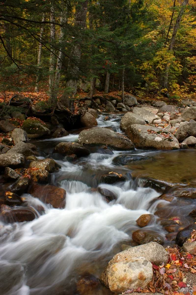 stock image The mauntain river