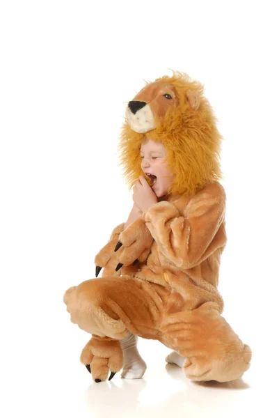 stock image The boy in a fancy dress of a lion