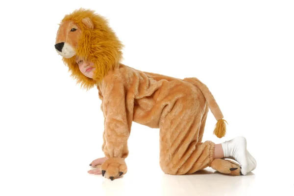 O rapaz num vestido chique de leão — Fotografia de Stock