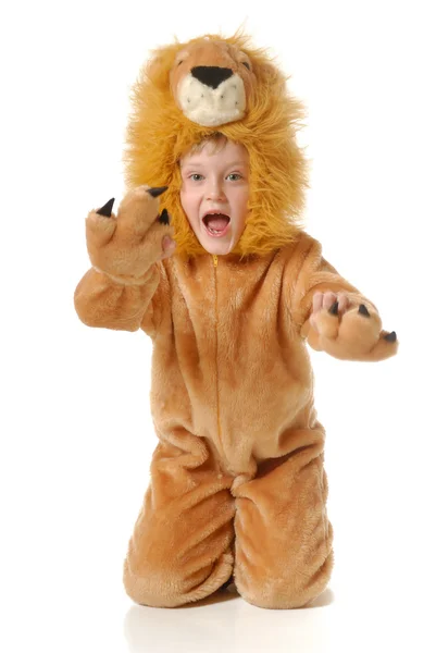 O rapaz num vestido chique de leão — Fotografia de Stock