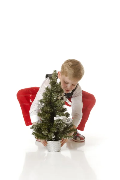 Pojken med en julgran — Stockfoto