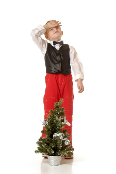 男孩与一棵圣诞树 — 图库照片