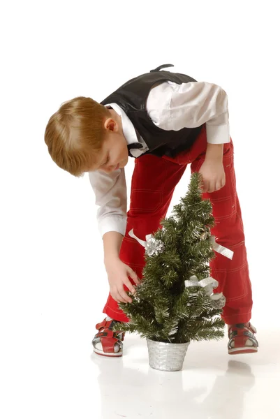 Der Junge mit dem Weihnachtsbaum — Stockfoto