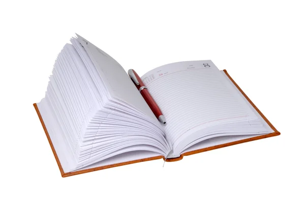 Caderno na capa de couro e caneta esferográfica — Fotografia de Stock