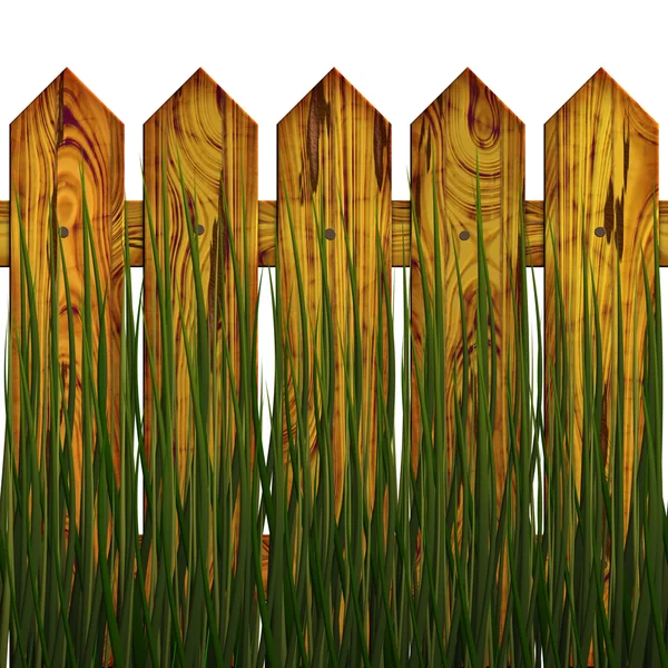 Fence in herb — Stock Photo, Image