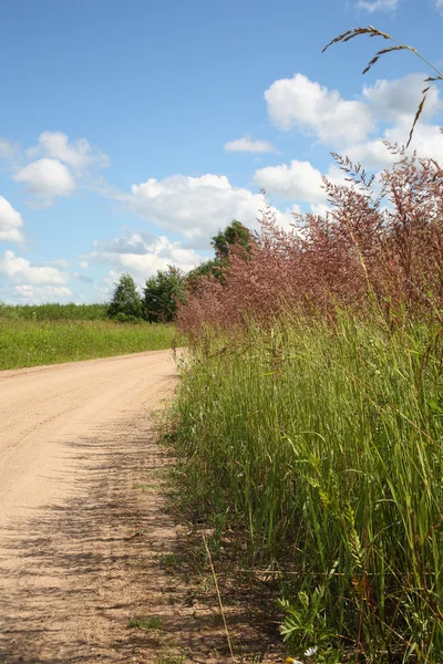 stock image Tumbling of the road