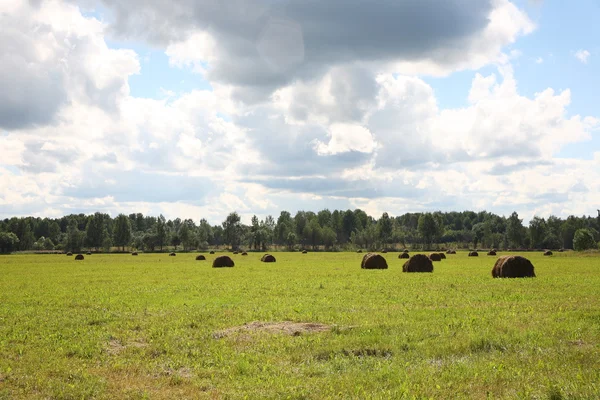 stock image Rural landscape