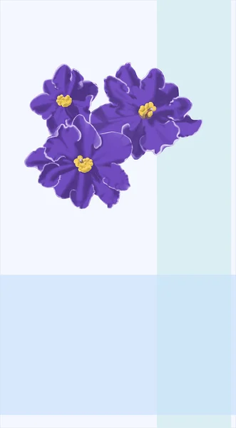 Violett — Stockfoto