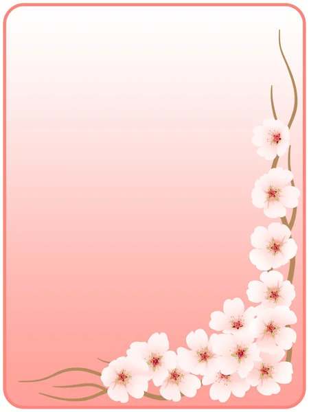 Frame _ flowers de uma cereja _ rosa — Fotografia de Stock