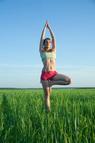 Молода дівчина робить йогу проти природи — стокове фото