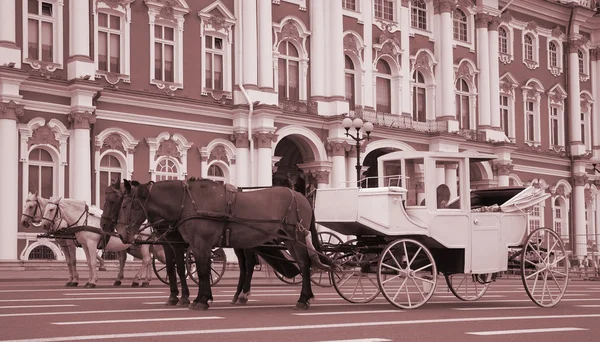 Carriage and pair — Stock Photo, Image